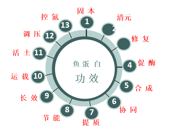 特種肥料,拉姆拉,水溶肥,魚蛋白