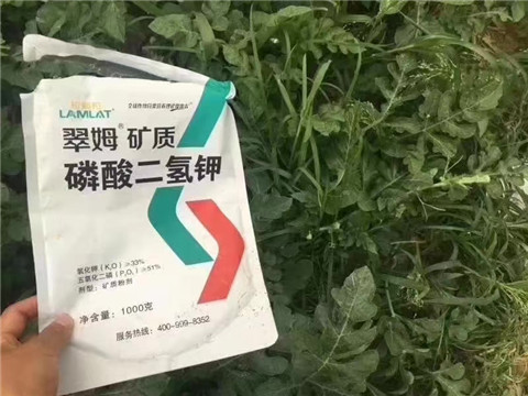 磷酸二氫鉀，硼肥，沖施肥