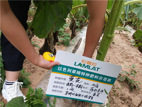 土壤重茬,拉姆拉,微生物菌劑